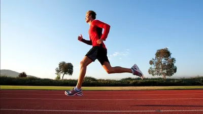 Спортивный бег: разновидности бега, их характеристика - Рамблер/спорт