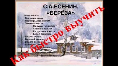 Картинки на тему #Белаяберёза - в Шедевруме