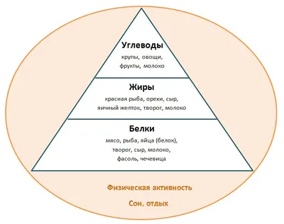 Здоровье - #еда #тарелка #овощи #белок #углеводы #жиры... | Facebook