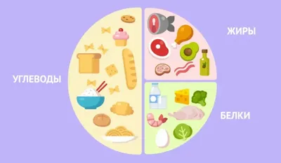 Идеальное сочетание белков, жиров и углеводов на день. | Питание, Еда, Диета