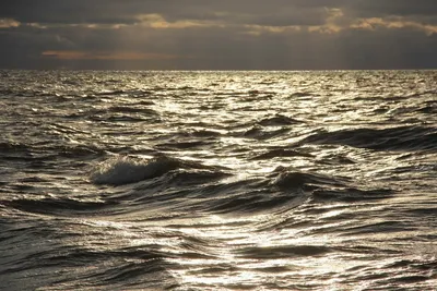 Белое море: где находится, описание, история