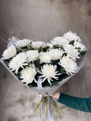 Белые хризантемы с сухоцветами - купить в Москве | Flowerna