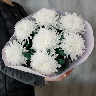 Белые хризантемы крупноголовые | Доставка цветов в Чехове |