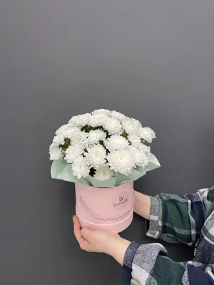 Белые хризантемы | Цветочный магазин Камелия