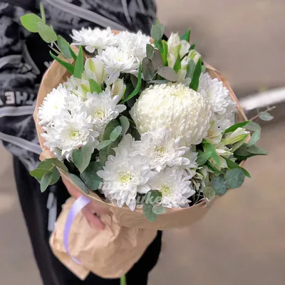 Купить Монобукет «Белое облако» из белой хризантемы на 1 сентября с  доставкой по Томску: цена, фото, отзывы.