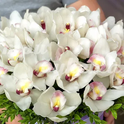 Белые орхидеи с эвкалиптом в коробке \"Бабочки\", артикул: 333076042, с  доставкой в город Москва (внутри МКАД)
