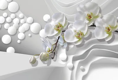 Фотообои Белые орхидеи на коричневом фоне купить на стену • Эко Обои