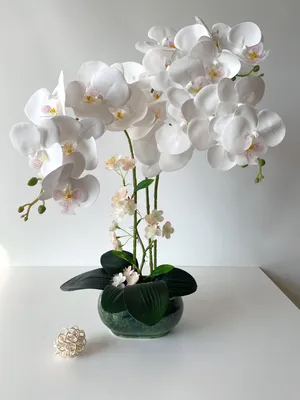 Композиция из орхидей в напольной вазе