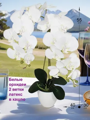 Картина на холсте \"Белые орхидеи на синем фоне\"