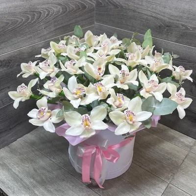 Букет из 41 белой орхидеи 💐 купить по цене 3 190 ₽ с доставкой в Москве