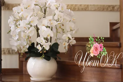 Букет белых орхидей | доставка по Москве и области