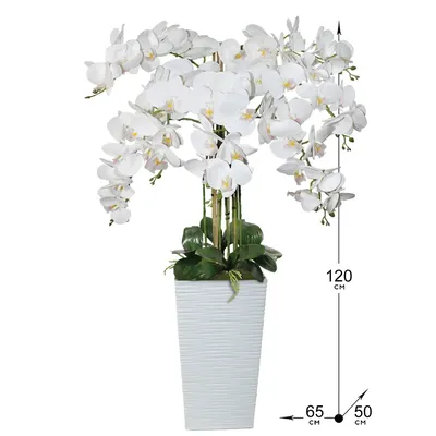 Фотообои «Нежные цветы белой орхидеи на голубом шёлке» купить