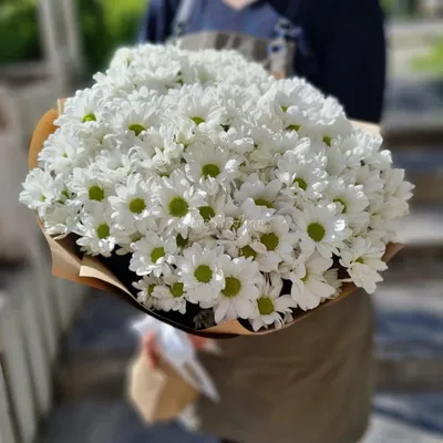Купить Букет «Белые ромашки» с доставкой в Курске, каталог Букеты с  хризантемами - «MarnaFlowers».