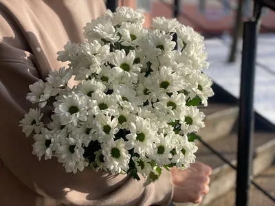 Ромашки белые букет купить с доставкой по Томску: цена, фото, отзывы.