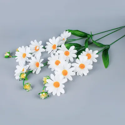 Белые цветы шапочкой - 70 фото