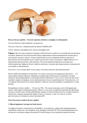 Белые грибы на прилавках в Костроме обогнали по цене говяжьи стейки | ГТРК  «Кострома»