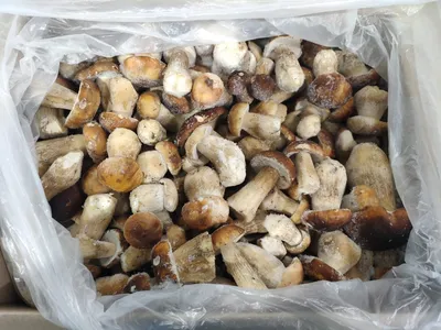 Купить белый гриб сушеный измельченный по низкой цене в интернет магазине  Moroshka.ru