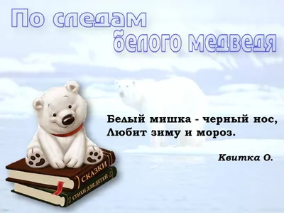 Фигурка животного Derri Animals Белый Медведь для детей игрушка  коллекционная декоративная, 81479, 10х7,5х5 см - купить с доставкой по  выгодным ценам в интернет-магазине OZON (226441939)
