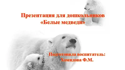 Polar bear and whale Stock Photo by ©agaes8080 60450201