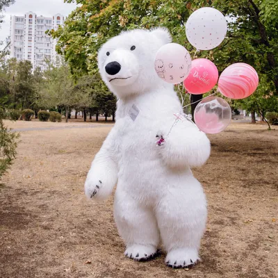 Где и как размножается белый медведь – GoArctic.ru – Портал о развитии  Арктики