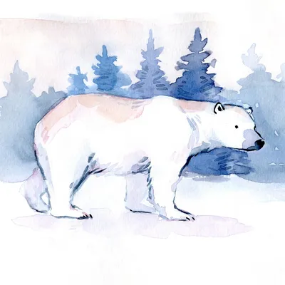 Белый медведь рисунок для детей - 58 фото