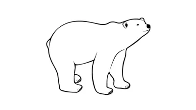 Милый полярный медведь, фигурка, Имитация животных, модель, украшения для  детей, подарки на день рождения, украшение для дома | AliExpress