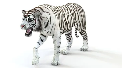 Купить мягкая игрушка Белый Тигр, 170х51 см, цены на Мегамаркет