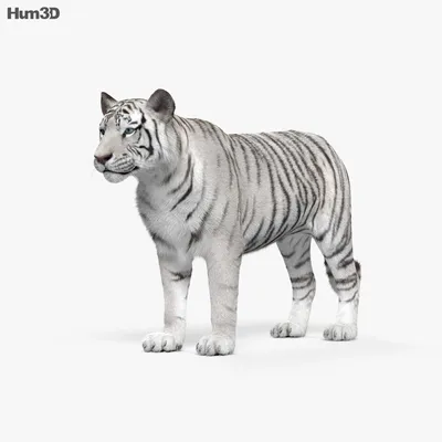 Фигурка MOJO Animal Planet Белый тигр 387013 купить по цене 1099 ₽ в  интернет-магазине Детский мир