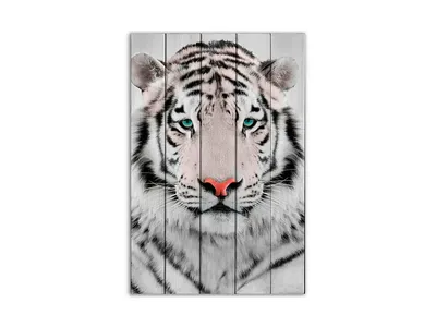 Кигуруми Белый Тигр ?- Купить Пижаму Кигуруми в виде Тигра в СПб недорого