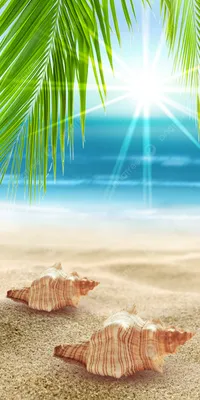 Заброшенный берег моря с галькой в солнечный день Стоковое Изображение -  изображение насчитывающей солнечно, желтый: 179185859