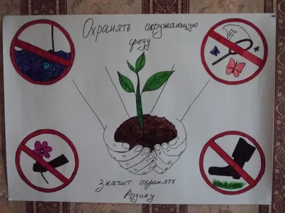 Как нарисовать плакат Берегите растения 3 класс | окружающий мир | Простые  срисовки | Дзен