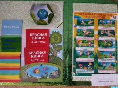 Берегите растения! - Плакаты по безопасности (дети 6-9 лет) - Конкурсные  работы - Обучение и развитие - ПочемуЧка - Сайт для детей и их родителей