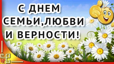 Семейный фестиваль пройдет в Пулковском парке в День семьи, любви и  верности | Телеканал Санкт-Петербург
