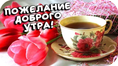 1000 открыток \"с добрым утром\" - поздравляйте бесплатно