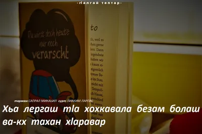 Ахь ларцаби безам Official Tiktok Music - Асхаб Вахарагов - Listening To  Music On Tiktok Music