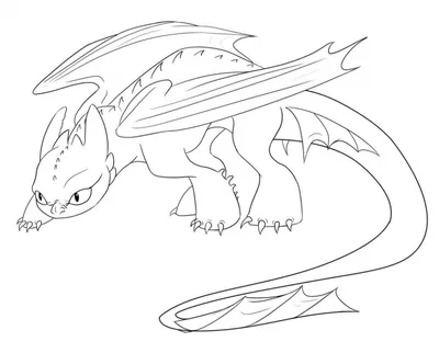 Анатомия Ночной Фурии. | Dragon sketch, How train your dragon, How to train  your dragon