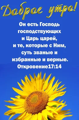 Пин от пользователя Вероника Салтыкова на доске Благословения на Ночь |  Христианские картинки, Вдохновляющие фразы, Христианские цитаты