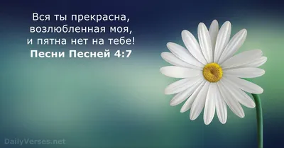 Купить Библию с индексами в христианском интернет-магазине в Украине -  bibles.in.ua