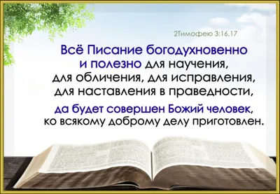 Как выбрать Библию – руководство от интернет-магазина «Виссон»