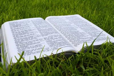 Как Библия раскрывает Божественность Христа | Загадочная Библия | Дзен