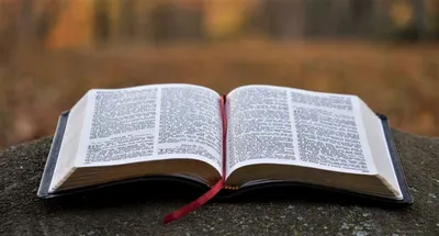 5 популярных мифов о Библии | ТРИКСТЕР | Научно о религии | Дзен