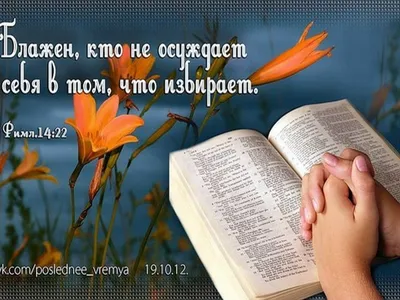 Детская Библия. Подарок на Рождество (красно-желтая обложка) Соколов  Александр, протоиерей, цена — 0 р., купить книгу в интернет-магазине