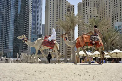 Пляж Джумейра Бич в Дубае - описание и фото