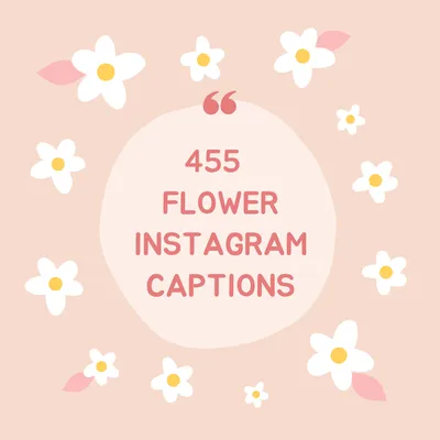 120 Beautiful Nature Captions which are perfect for your Instagram pics! —  Walk My World