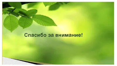 Картинки спасибо за внимание с цветами (64 фото) » Картинки и статусы про  окружающий мир вокруг