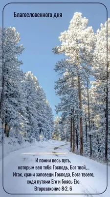 Благословенного дня (62 лучших фото)