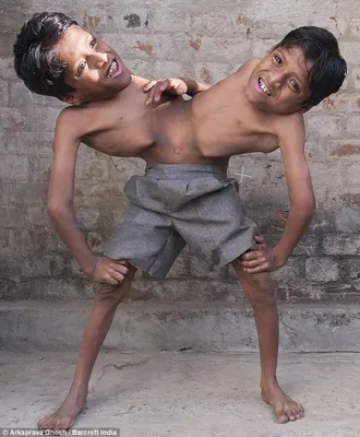 Стильные малыши-близнецы взорвали Instagram своими изысканными нарядами —  Гламур