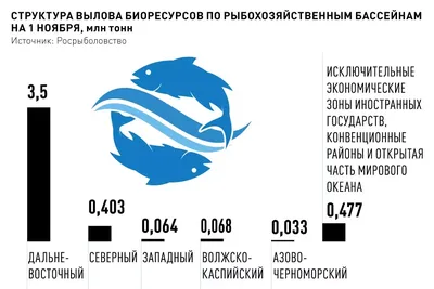 Гаяна Бойцова | ВКонтакте