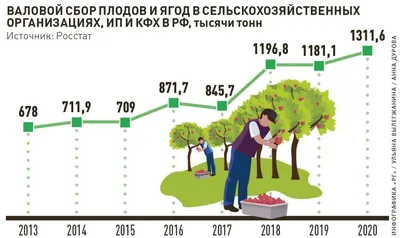 Gayana | ВКонтакте