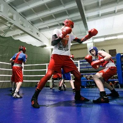 Бокс: тренировки для начинающих взрослых, плюсы и минусы для здоровья